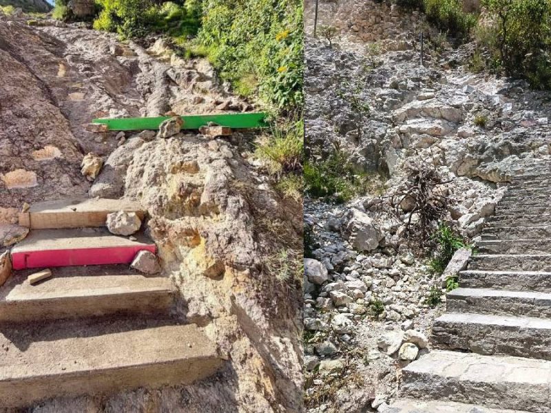 ¿Daño a La Bufa? Investigan escaleras de concreto y tala de garambullos centenarios