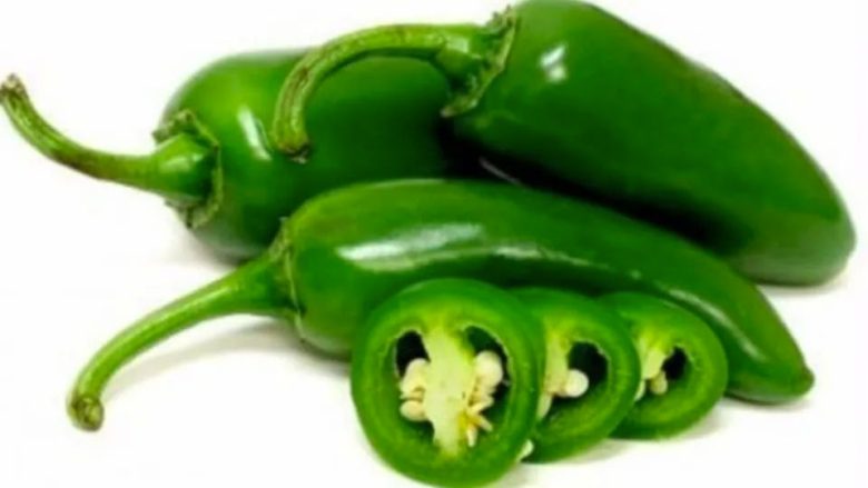 chile jalapeño salmonela Sinaloa