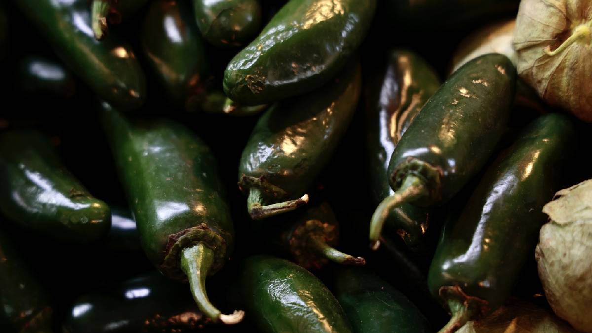 exportaciones productos mexicanos