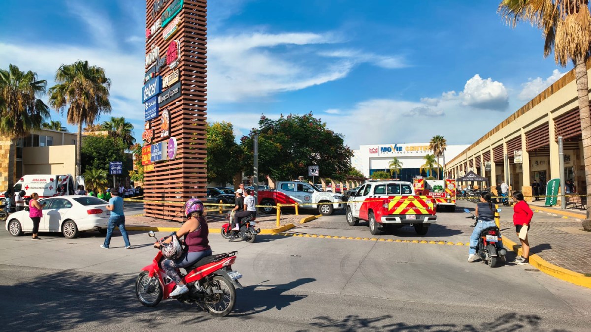 extraño olor Plazarella