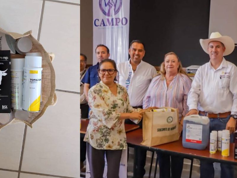 Gusano barrenador avanza en Guanajuato: suman 90 casos activos