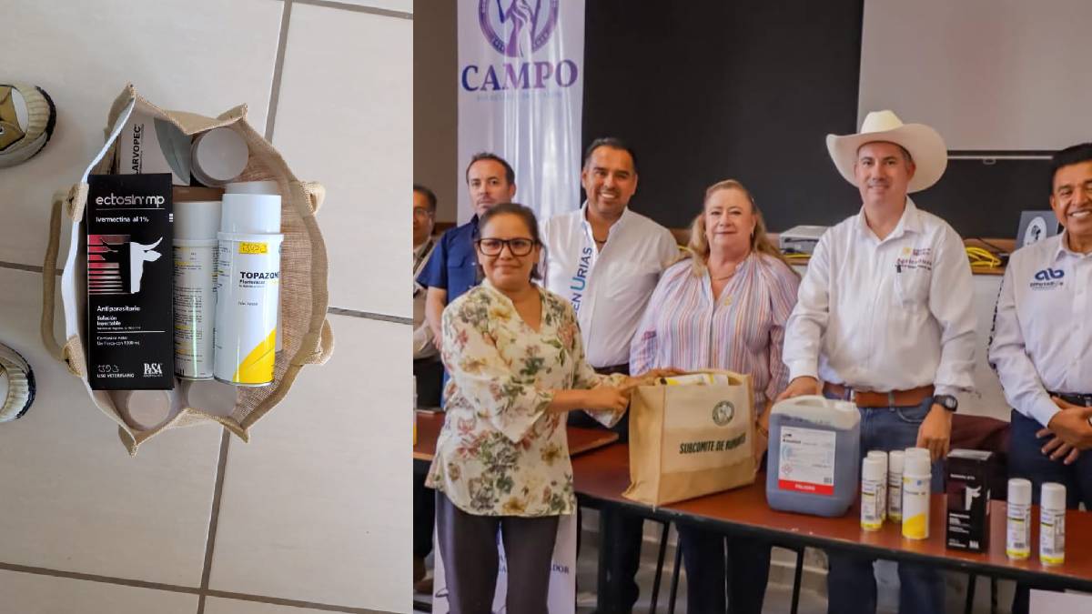 gusano barrenador Guanajuato