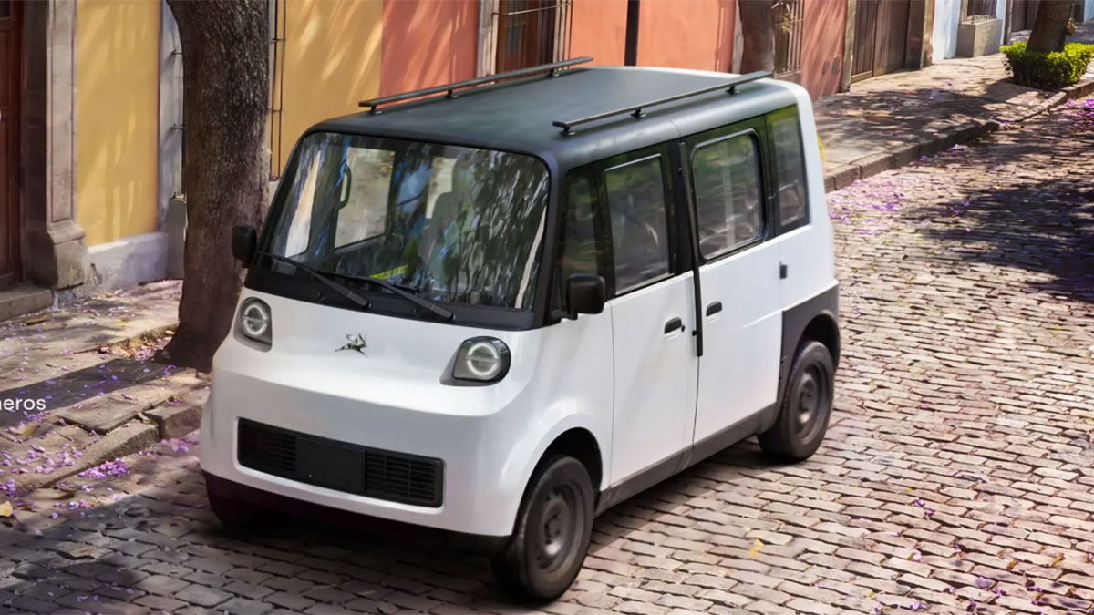 Olinia Carga auto eléctrico