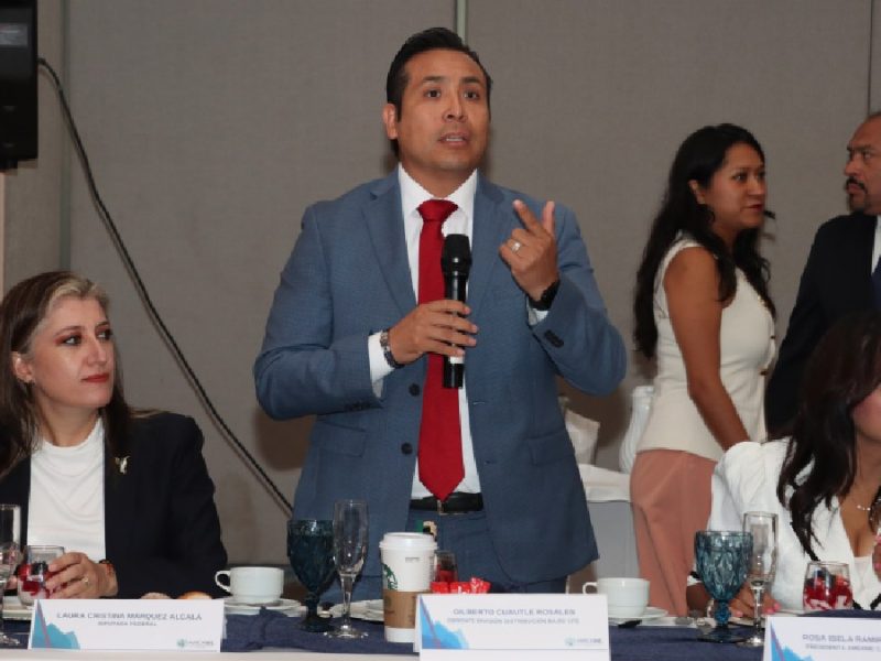 Anuncia CFE inversión de 2 mil 100 mdp para obras en Guanajuato