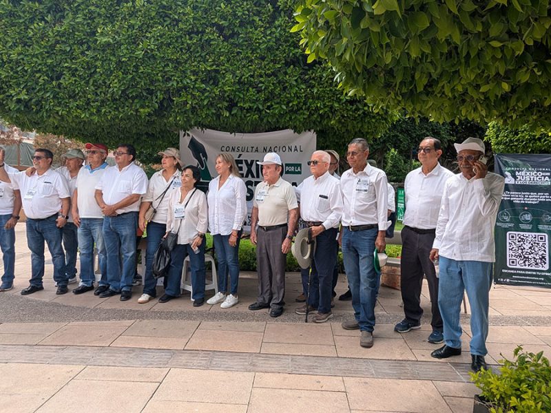 Realizan en Irapuato consulta en defensa de pensiones de jubilados de Pemex y CFE