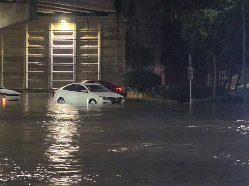 Fuerte lluvia deja inundaciones, árboles caídos y apagones en Celaya