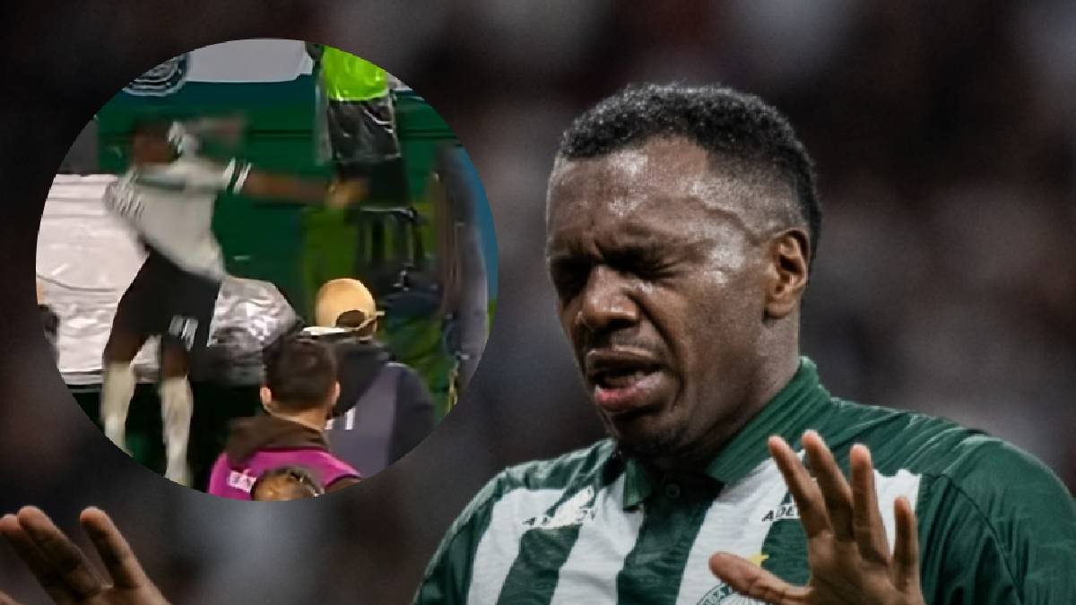Celebración termina en desastre: Jacy Maranhão se lesiona tras caer a un foso y su gol es anulado - Captura.