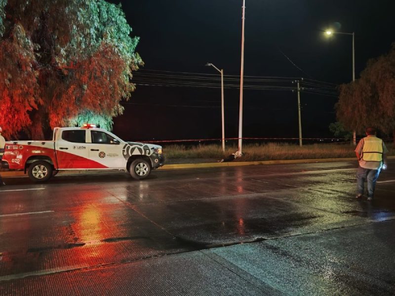Fallece motociclista tras derrapar y chocar en el Ecobulevar León-San Francisco