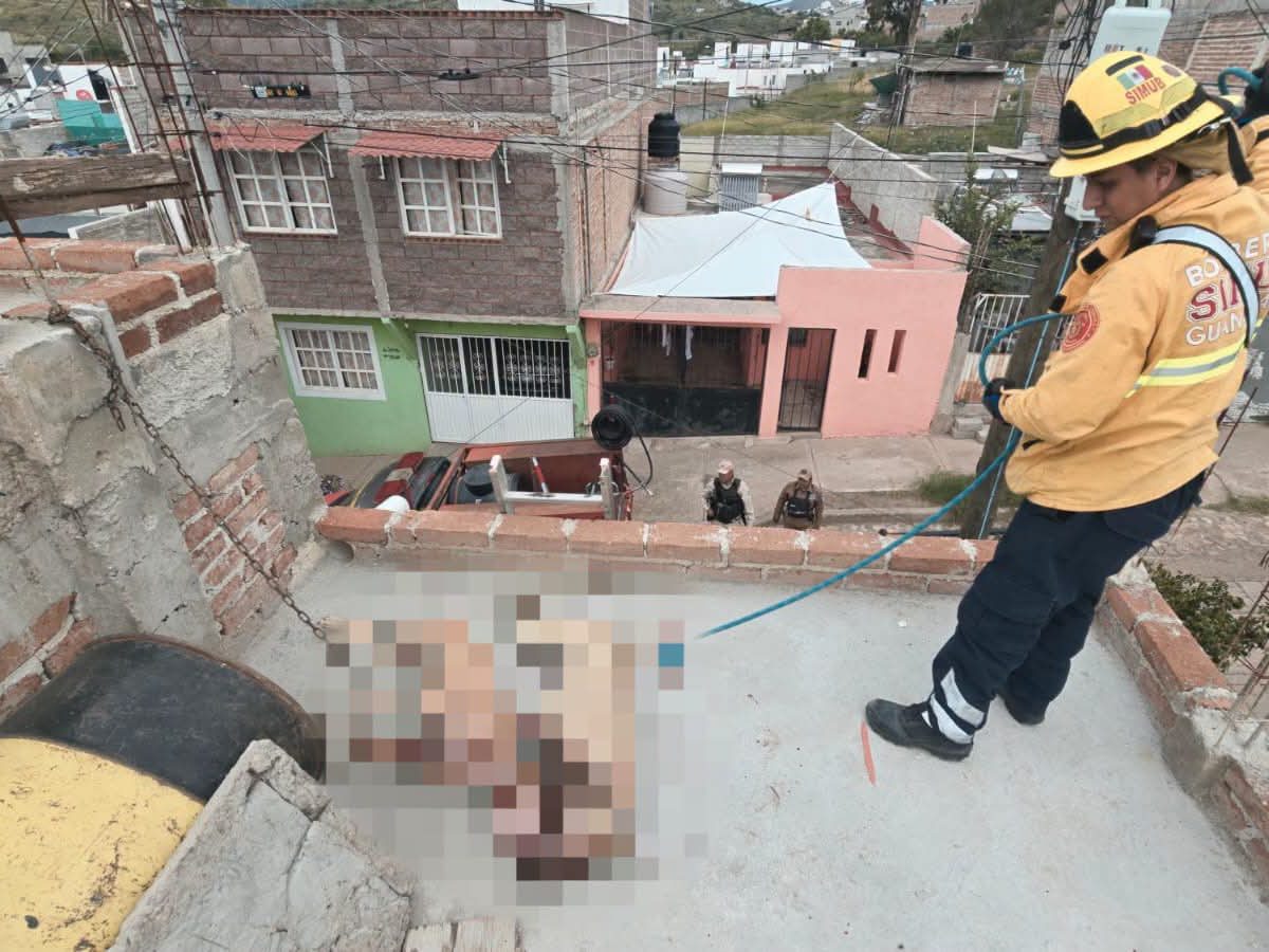 Reportan la muerte de dos perros encadenados en azotea en Guanajuato capital