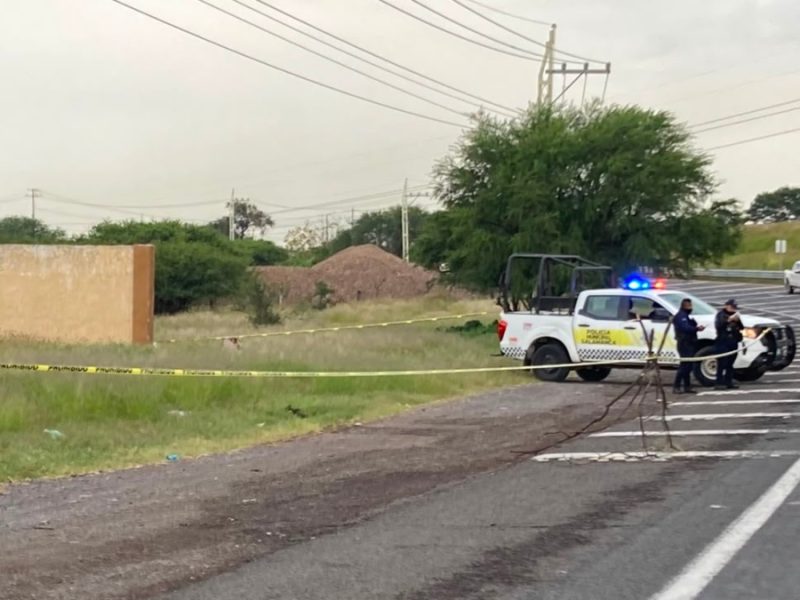 Tirada entre la hierba, hallan a mujer muerta a balazos en la Salamanca-Celaya