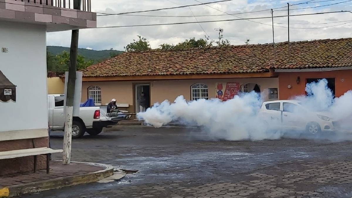 plagas de mosquitos Moroleón