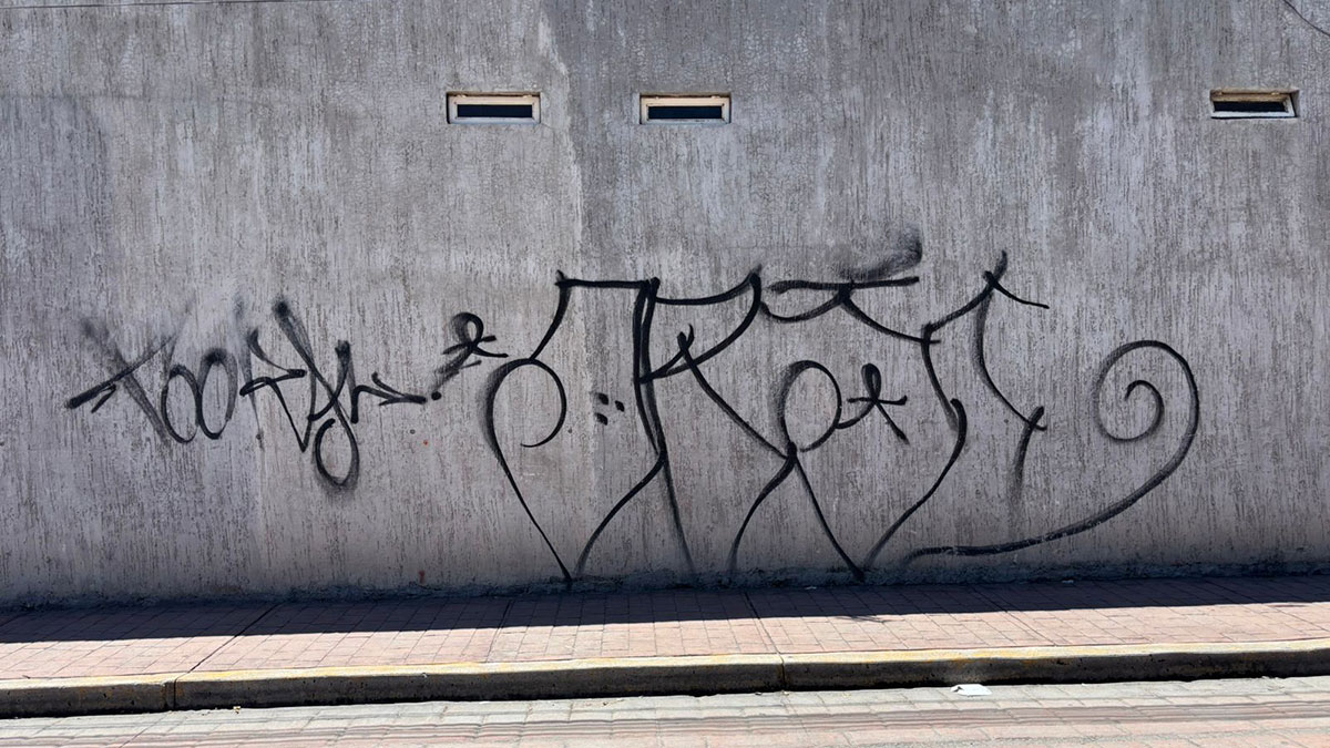 Purísima grafitis fachadas Centro