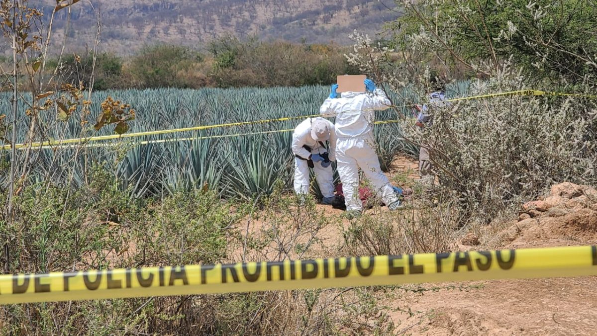 Descubren restos óseos en una finca de Rancho Nuevo del Llanito