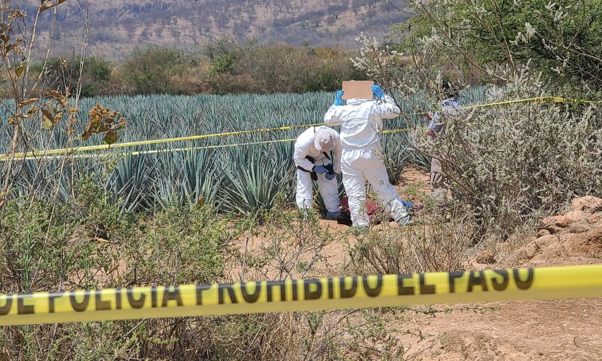 Descubren restos óseos en una finca de Rancho Nuevo del Llanito