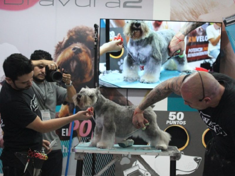 Aprovechan estudiantes el Congreso Veterinario de León para adquirir insumos
