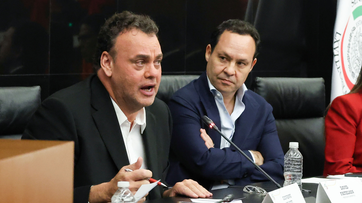 DavidFaitelsonenelSenado
