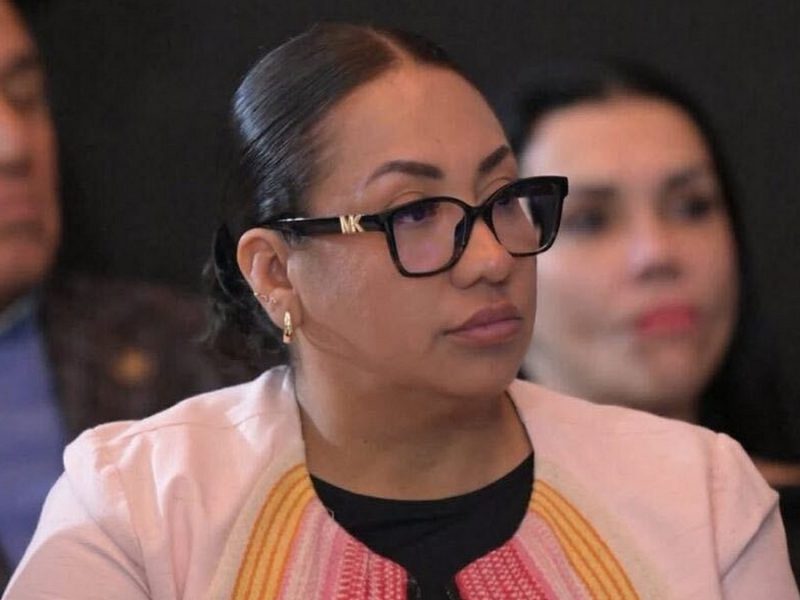 Muere la diputada Anay Beltrán Reyes, de Morena, a los 44 años