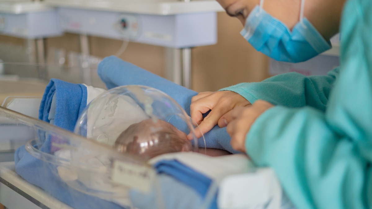 IMSS León placenta