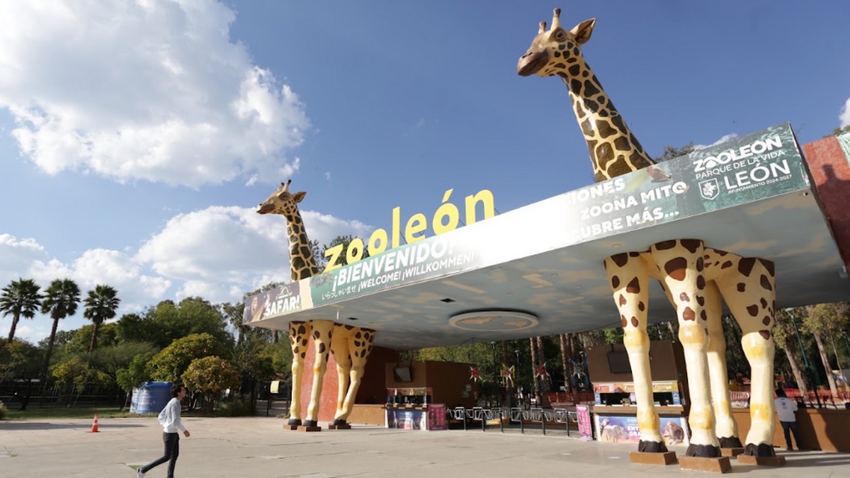 Muere jirafa en Zoológico de León