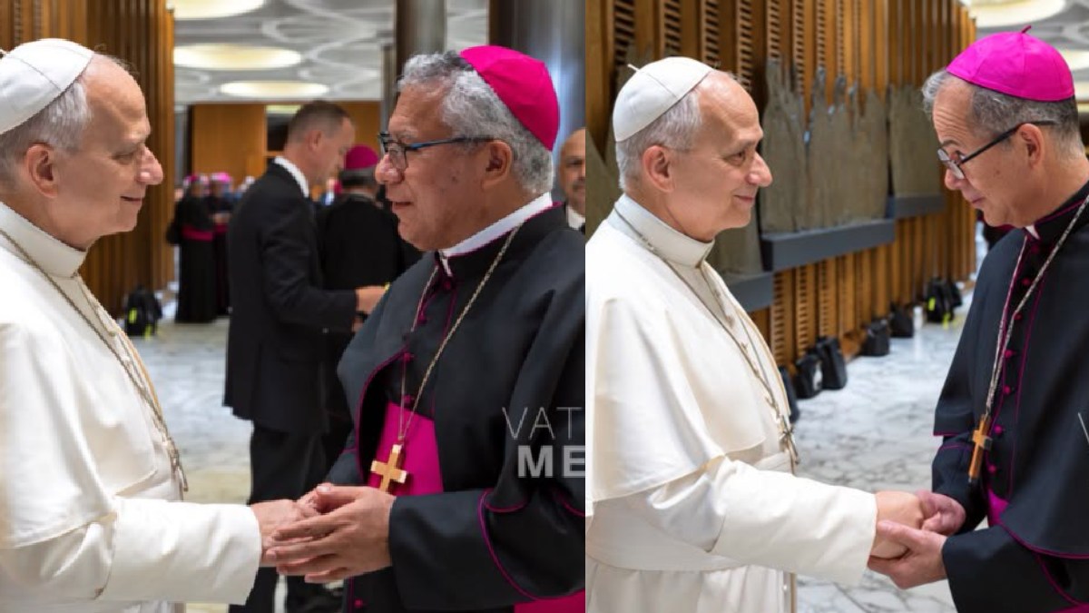 Papa obispos auxiliares León