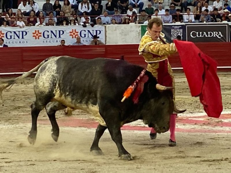 Triunfa el español Román Collado en el aniversario de la plaza de toros La Luz