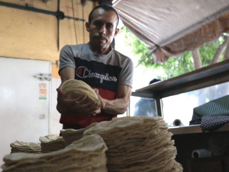Descarta Secretaría de Agricultura suba precio de tortilla; especialistas alertan por sequía