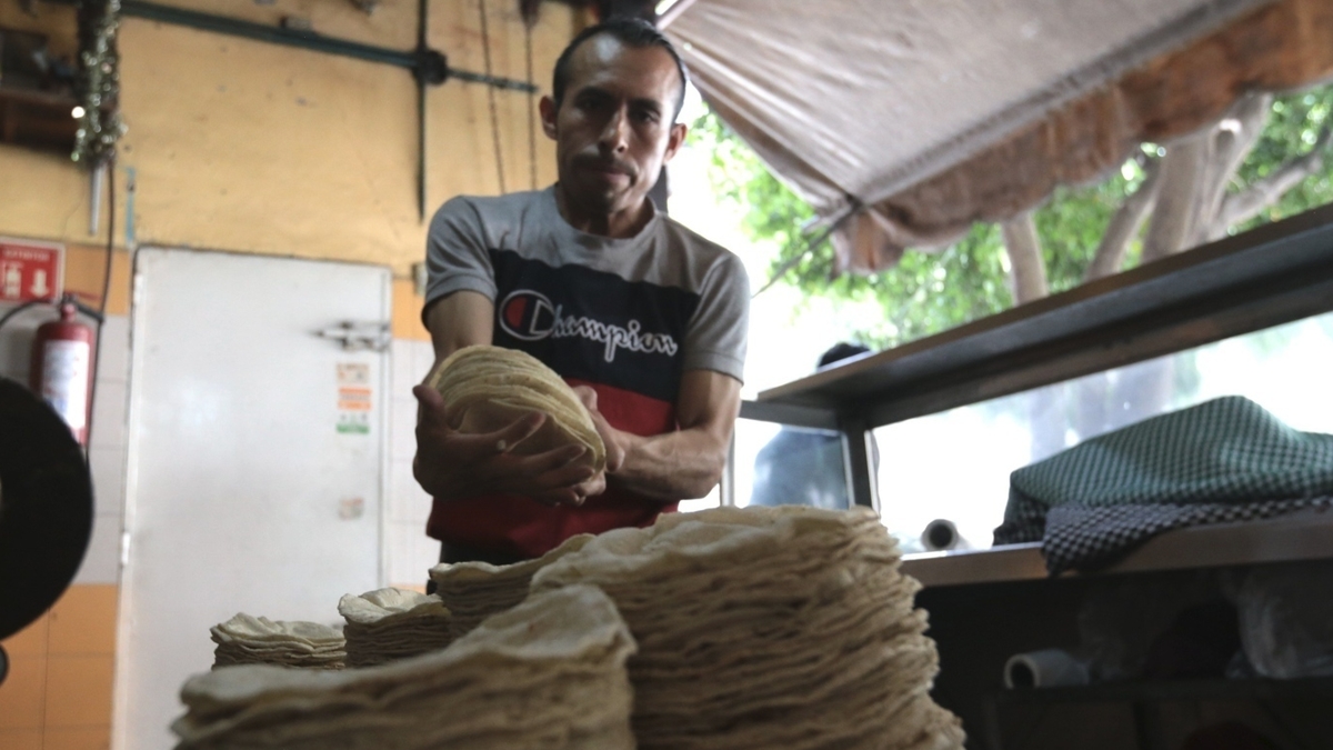 Tortilla precio