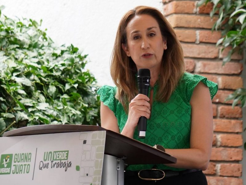 Senadora Virginia Magaña pide licencia por dos días para atender asuntos del Partido Verde