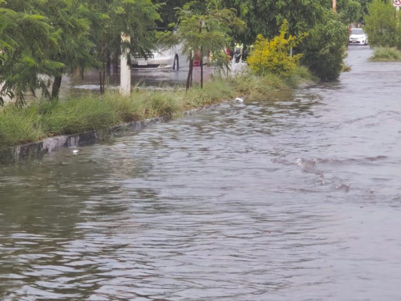 Celaya, bajo el agua: Lluvia deja calles inundadas, árboles caídos y caos vial