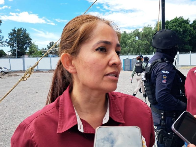 Alista Salamanca inventario de arbolado urbano para atender plagas y prevenir riesgos