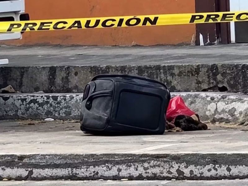Irapuato: Abandonan restos humanos en bolsas y hielera en 2 puntos de avenida Calzada de Guadalupe