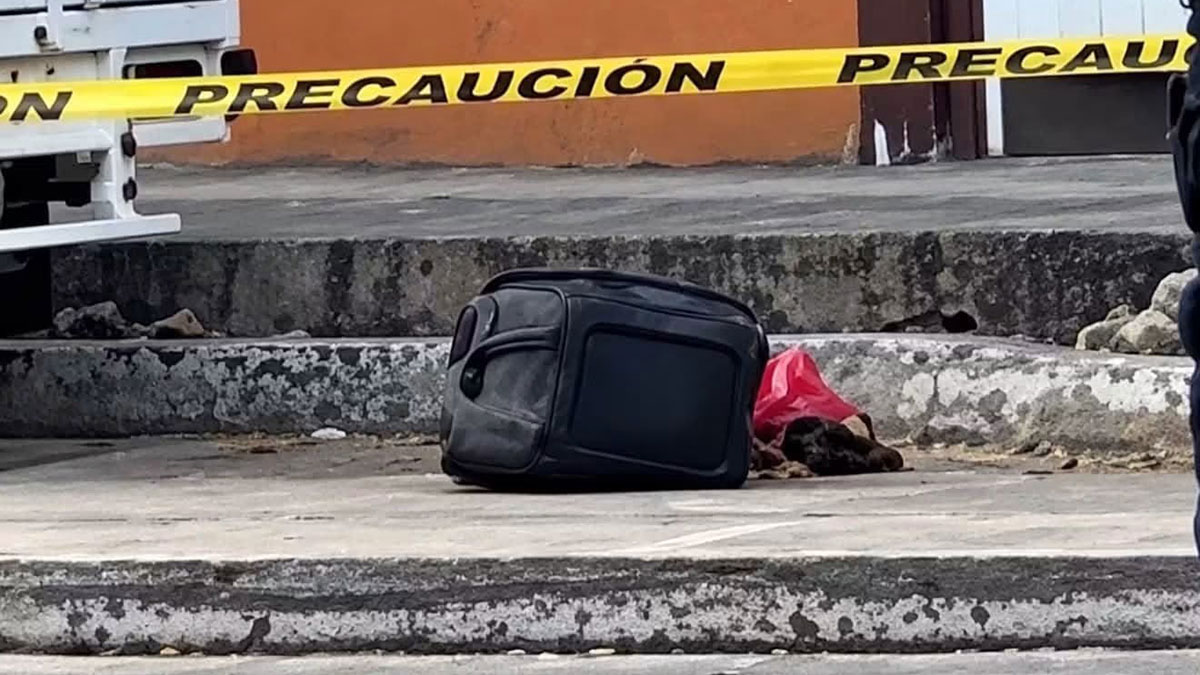 Irapuato hallazgo restos humanos