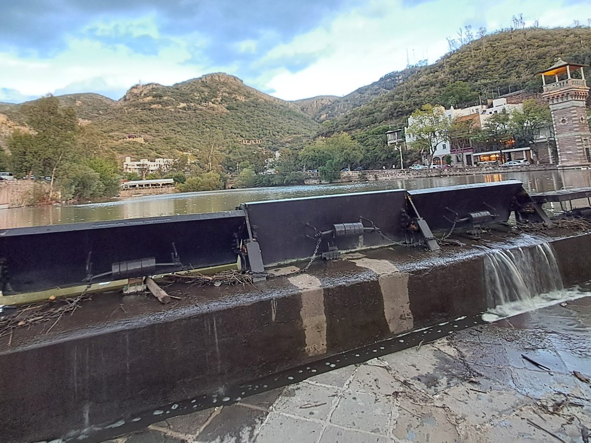 Reportan hallazgo de peces muertos en la Presa de la Olla en Guanajuato capital