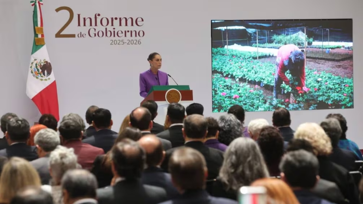 segundo informe de gobierno Sheinbaum