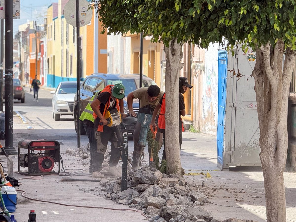 Obra en andador de Celaya va lento; darán apoyos de 20 mil pesos a comerciantes