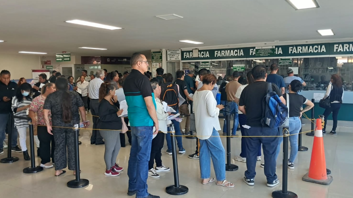 Carencias en IMSS