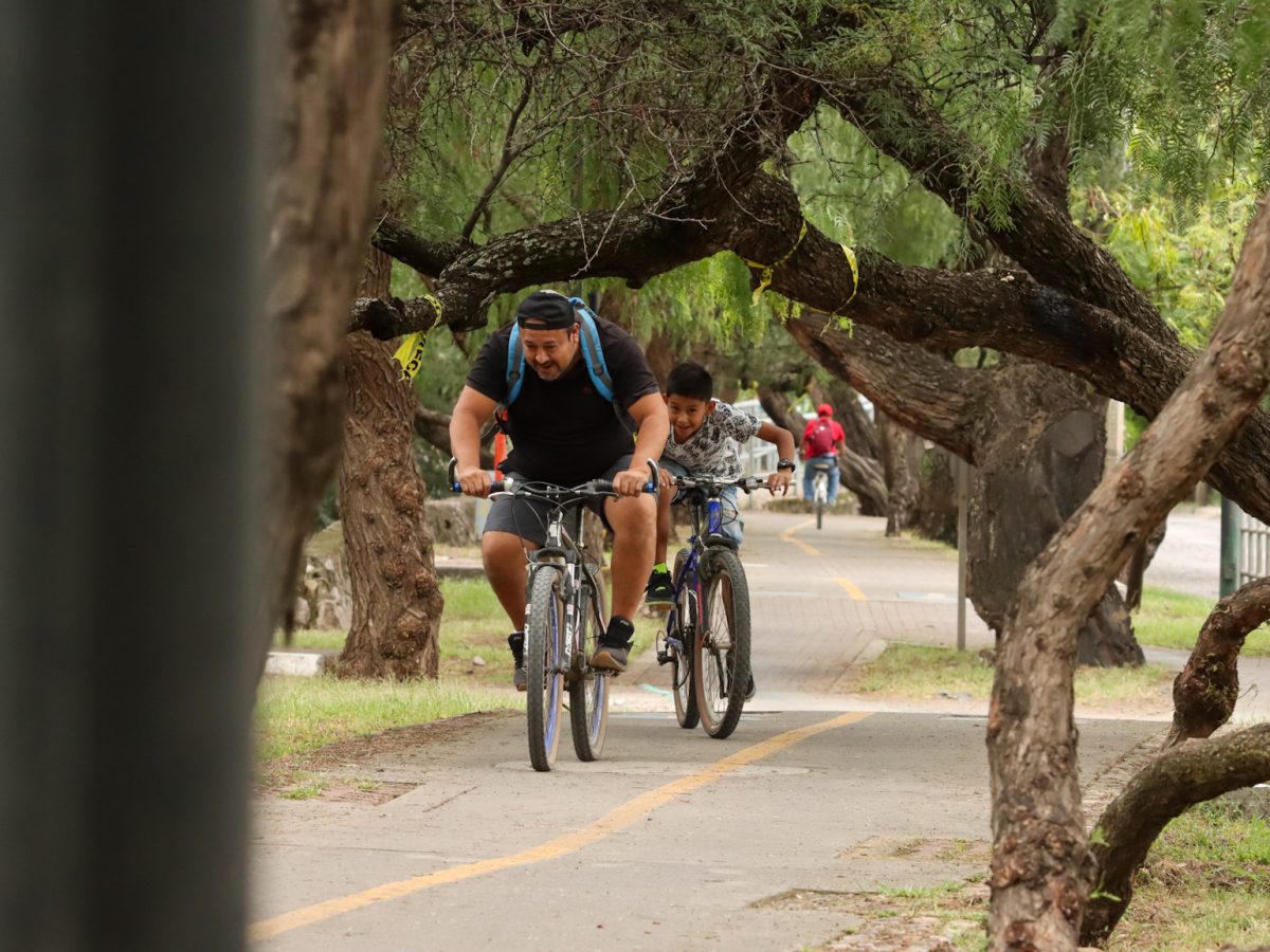 “Hay que agacharse”: Ciclovías de León crecen, pero persisten obstáculos, falta de luz y seguridad