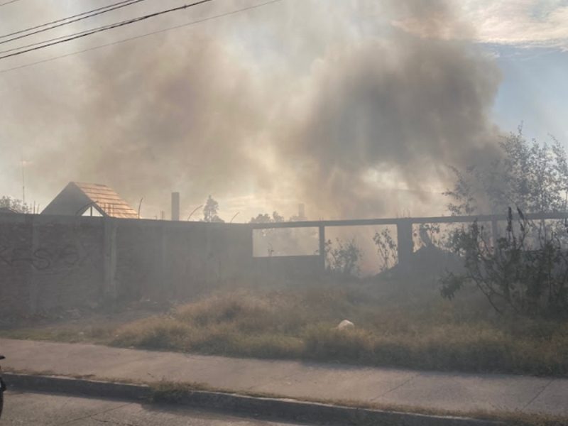 Sin castigo, incendios en Salamanca: solo dos multas por 685 quemas de predios y pastizales