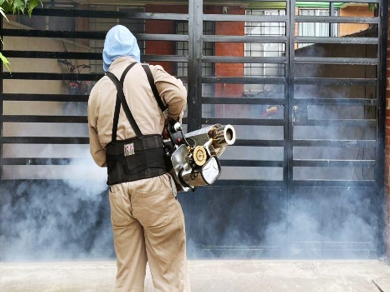 Casos de dengue suben más de 30 % en Moroleón y Uriangato; activan alerta