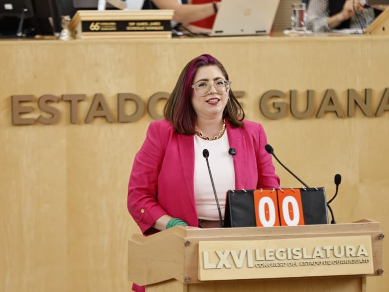 Solicita Sandra Pedroza a la SCJN declarar inconstitucional el aborto en Guanajuato