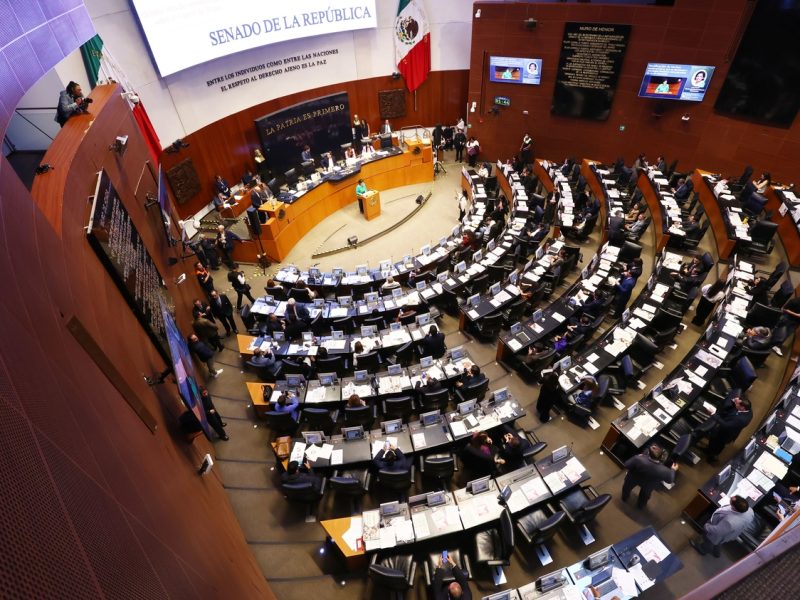 “Todos están renegando”: Complican trámites de boletos de avión a senadores de Morena