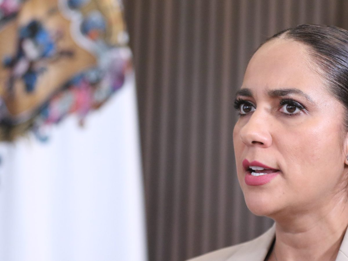 “Ya no era opción hacer modificación a concesión de la Silao- San Miguel Allende”: Libia