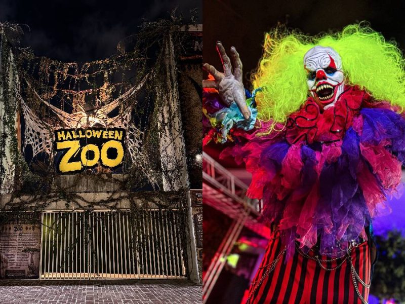Halloween Zoo estrena sede en la Feria de León con hasta tres horas de puro terror  