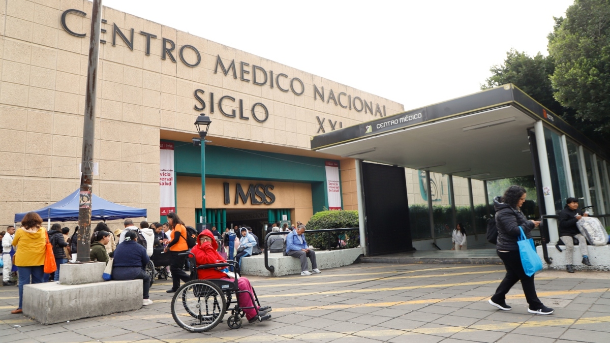 IMSS consulta