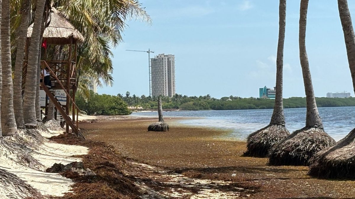 Turismo se desploma en Quintana Roo y 8 aerolíneas huyen del Aeropuerto de Tulum