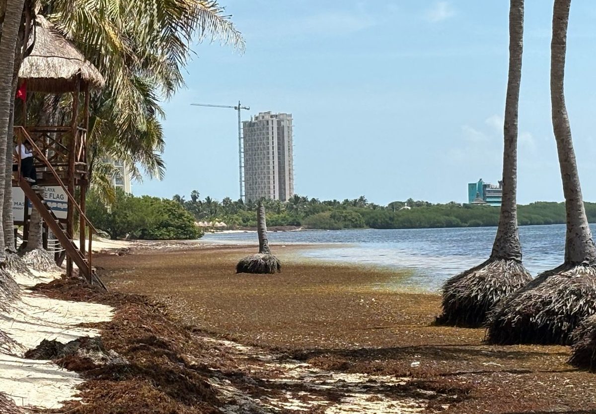 Turismo se desploma en Quintana Roo y 8 aerolíneas huyen del Aeropuerto de Tulum