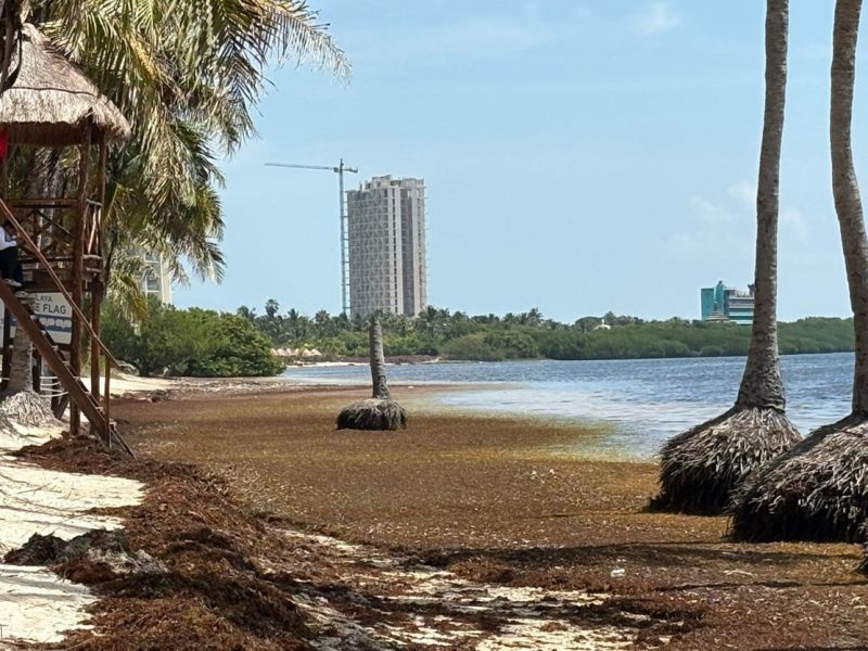 ¿Se apaga el Caribe? Cae turismo en Cancún y Tulum; aerolíneas dicen adiós a Quintana Roo