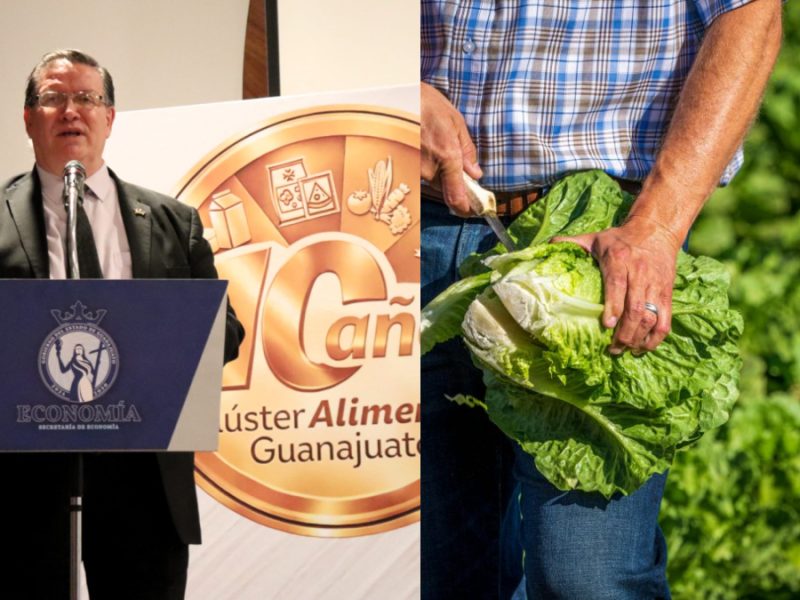 Guanajuato prevé que caso de cyclospora no afectará más sus exportaciones de lechuga a EU