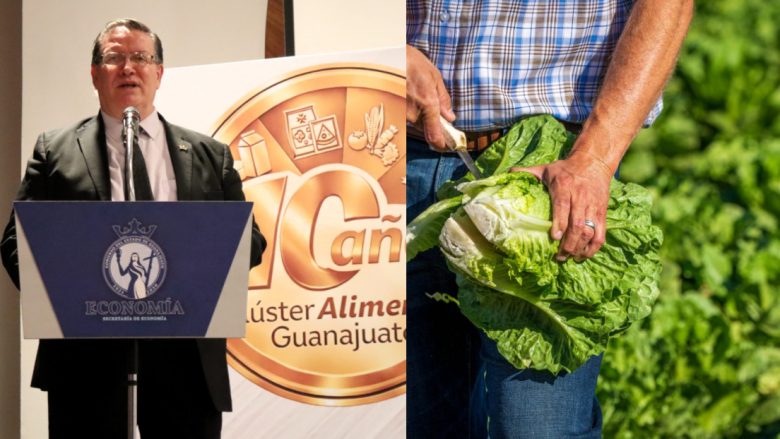 Lechugas de Guanajuato