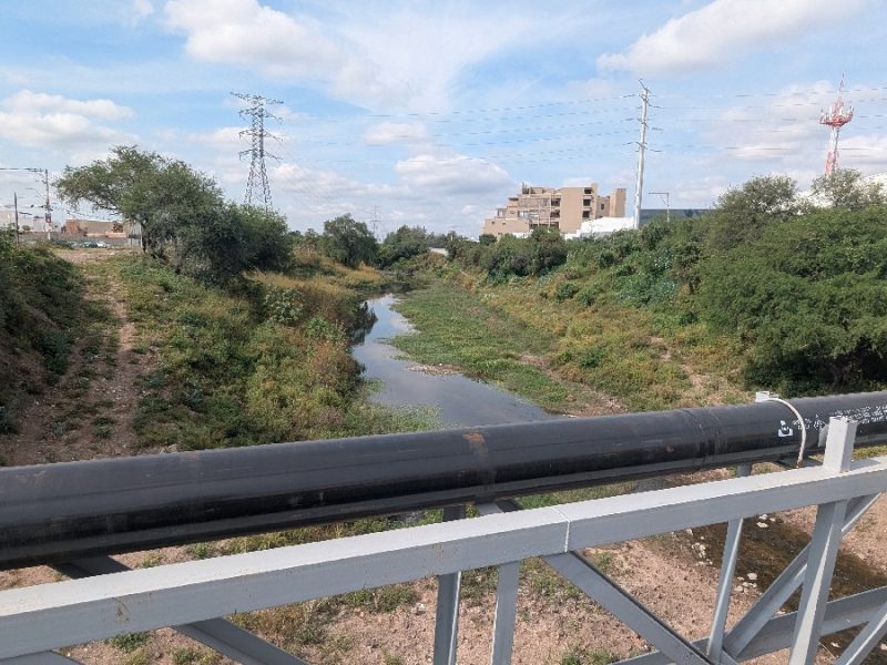 Entre maleza y abandono, planean parque lineal en el río Silao en Irapuato